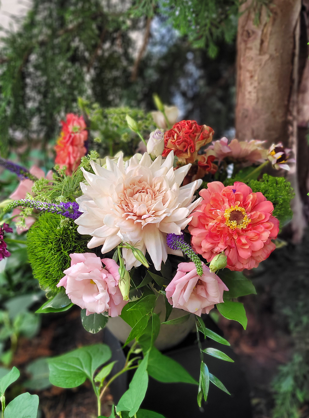 Flower Farm Robin Wood Flowers